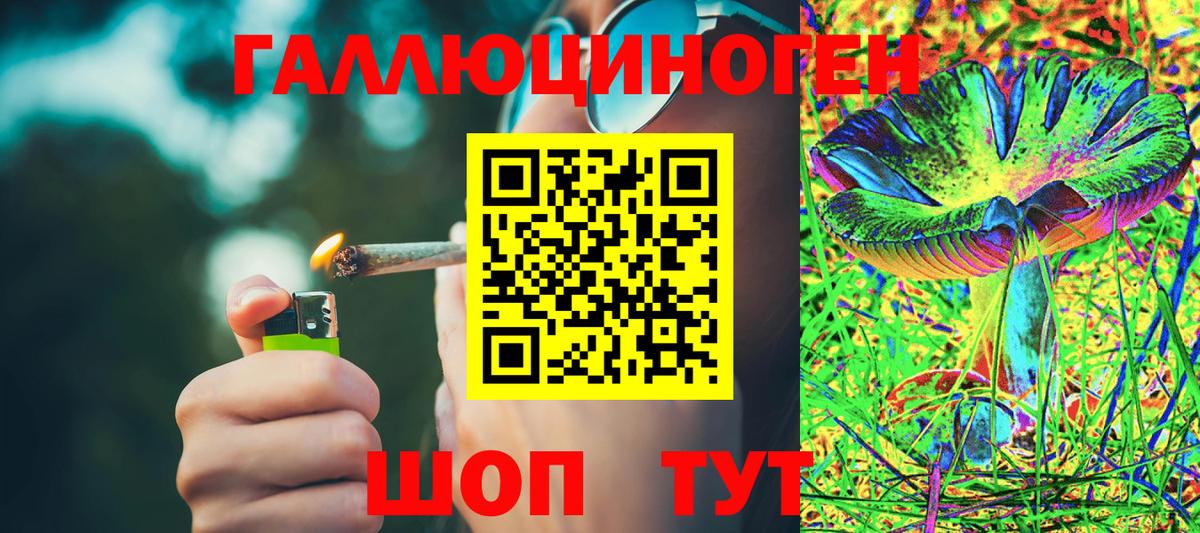 Людиново  Псилоцибиновые грибы GOLDEN TEACHER  Галлюциногенные грибы Psilocybine cubensis  Вход с VPN 